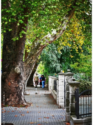 Mostar 2024_0148